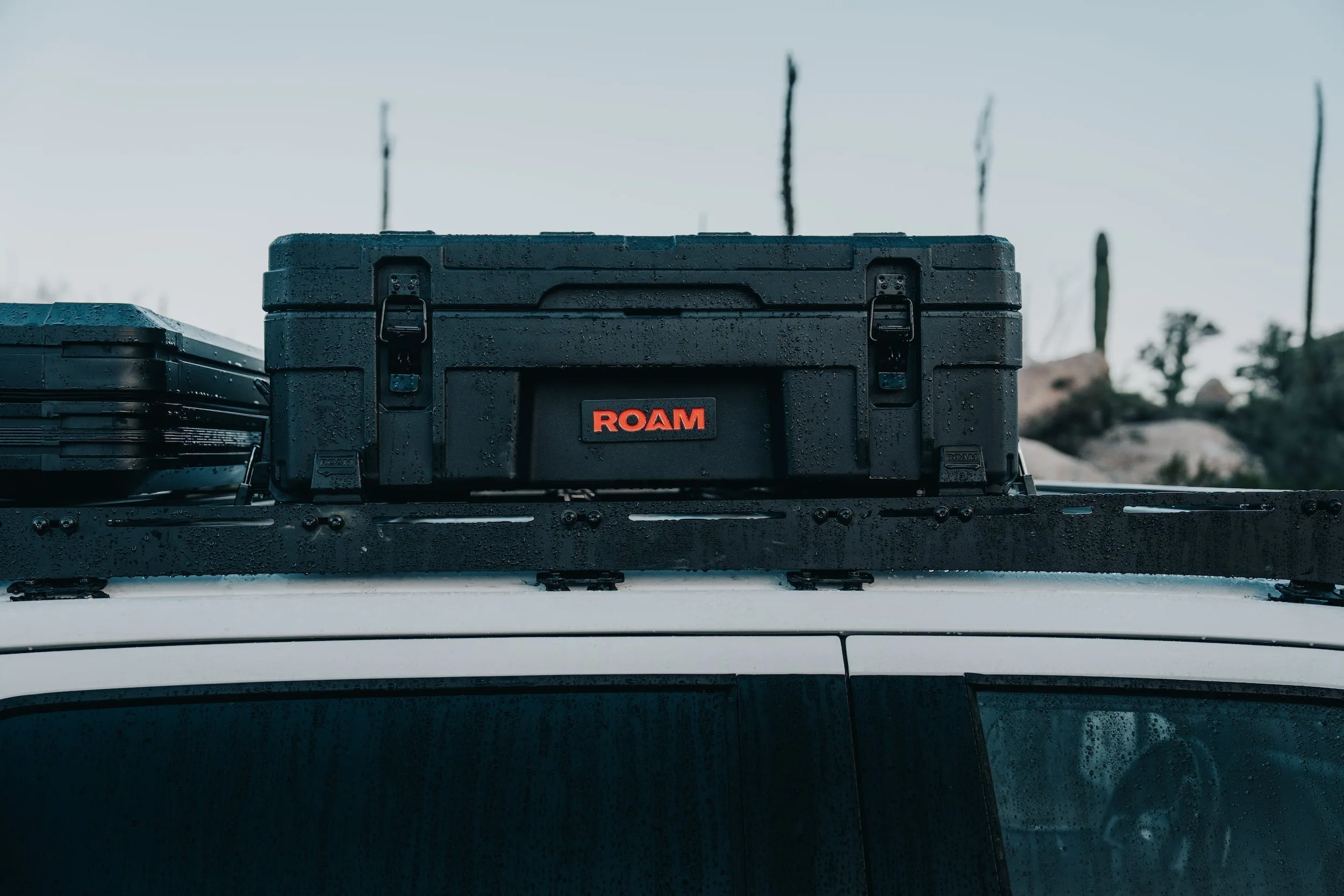 ロームアドベンチャー Roam Adventure 66L ラゲッド マウント Rugged Mounts