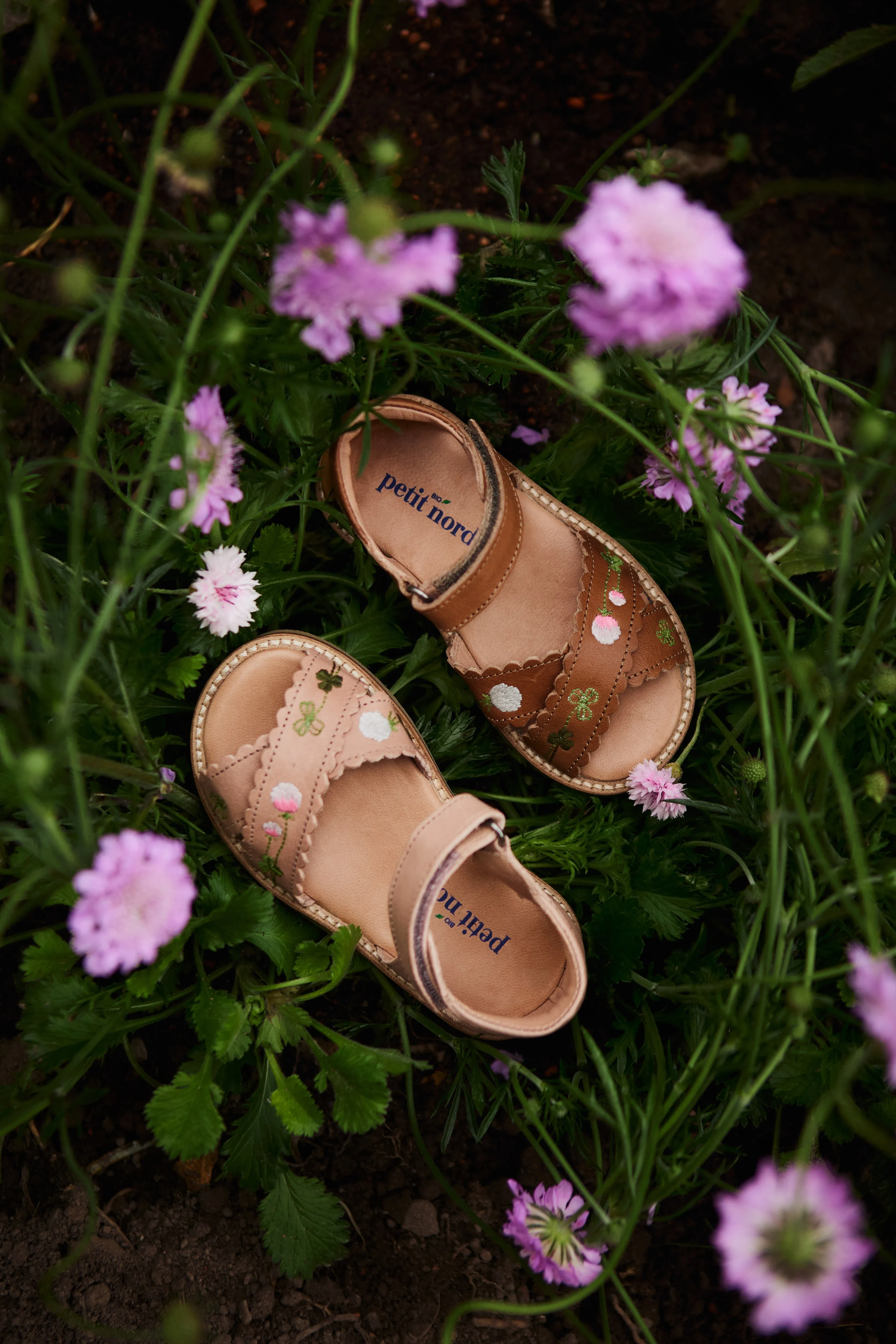 Blooming Clover Scallop Crossover Sandal - Cognac