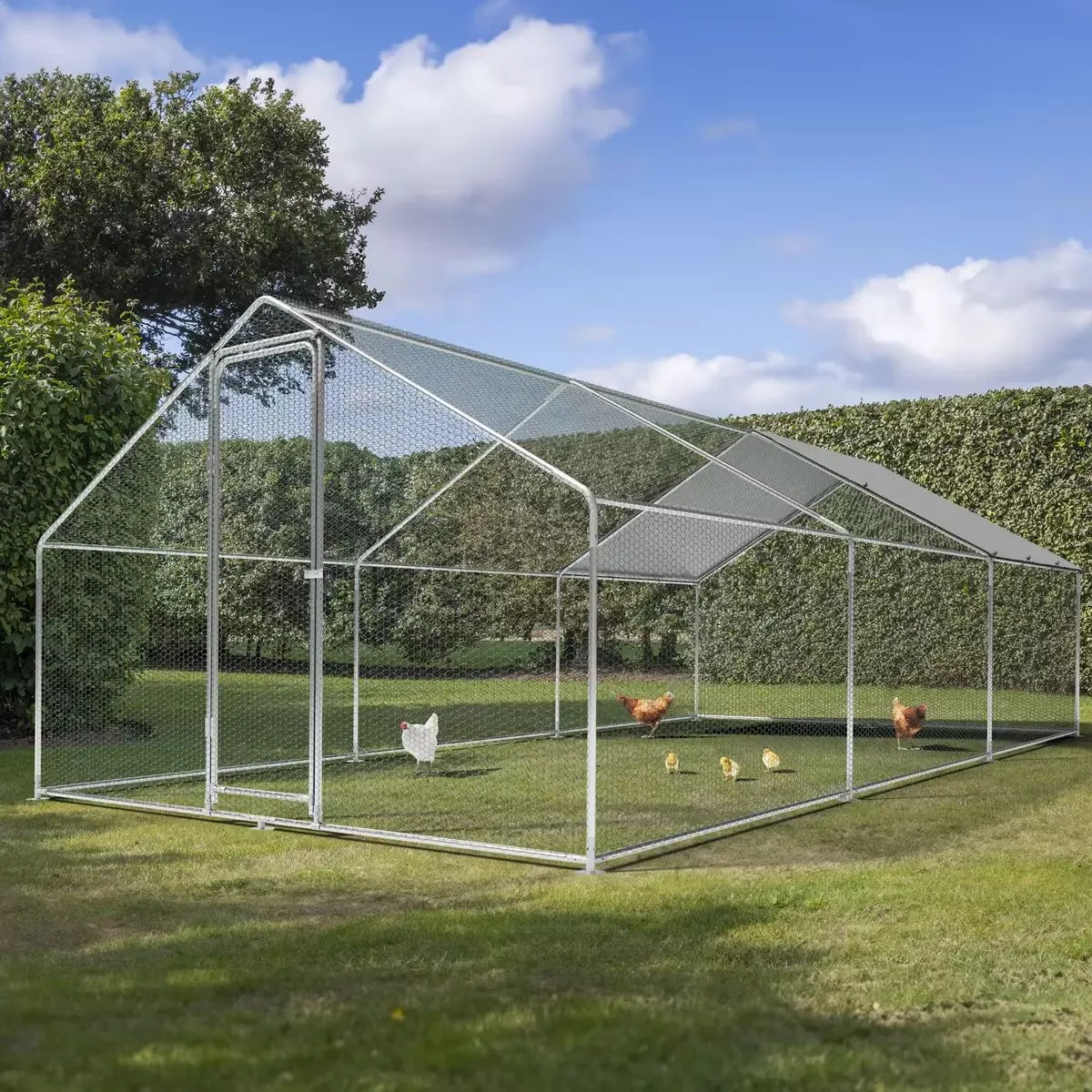 Dellonda DG280 3 x 6 x 2m Walk-In Chicken Run, Galvanized Steel, Roof Cover & PVC Coated Chicken Wire