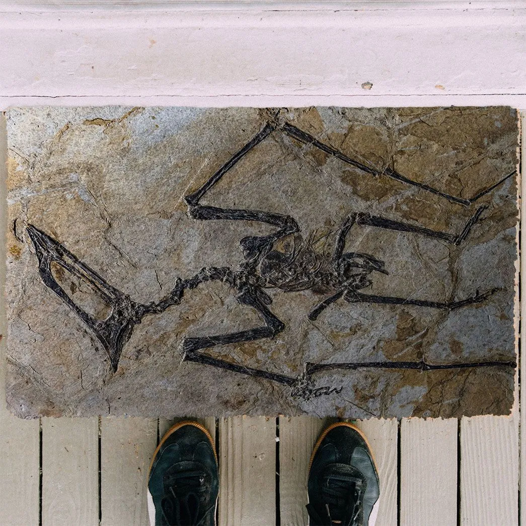 Gearhuman 3D Flying Dinosaur Fossil Doormat