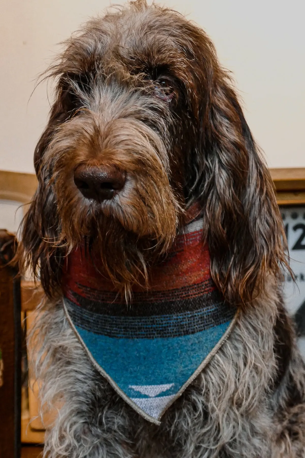 The Rugged Society - Wool Neckerchief with Native Pattern